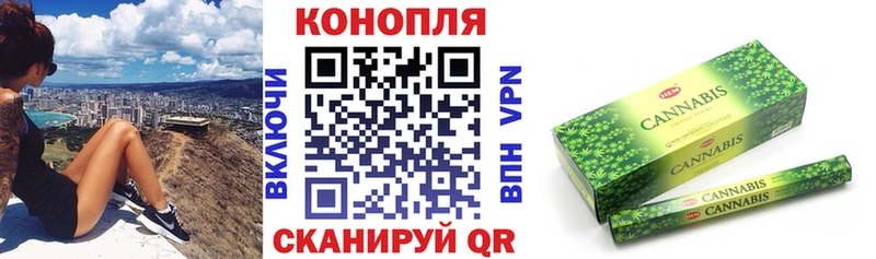 Марихуана план  продажа наркотиков  Бийск 